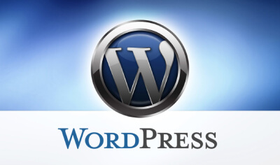 Wordpress training institute in noida